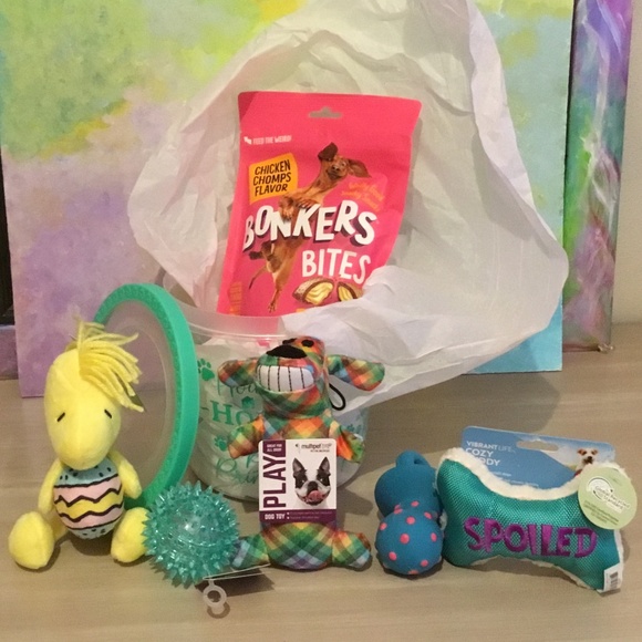 Easter Basket for a small dog light chewer - Picture 2 of 2